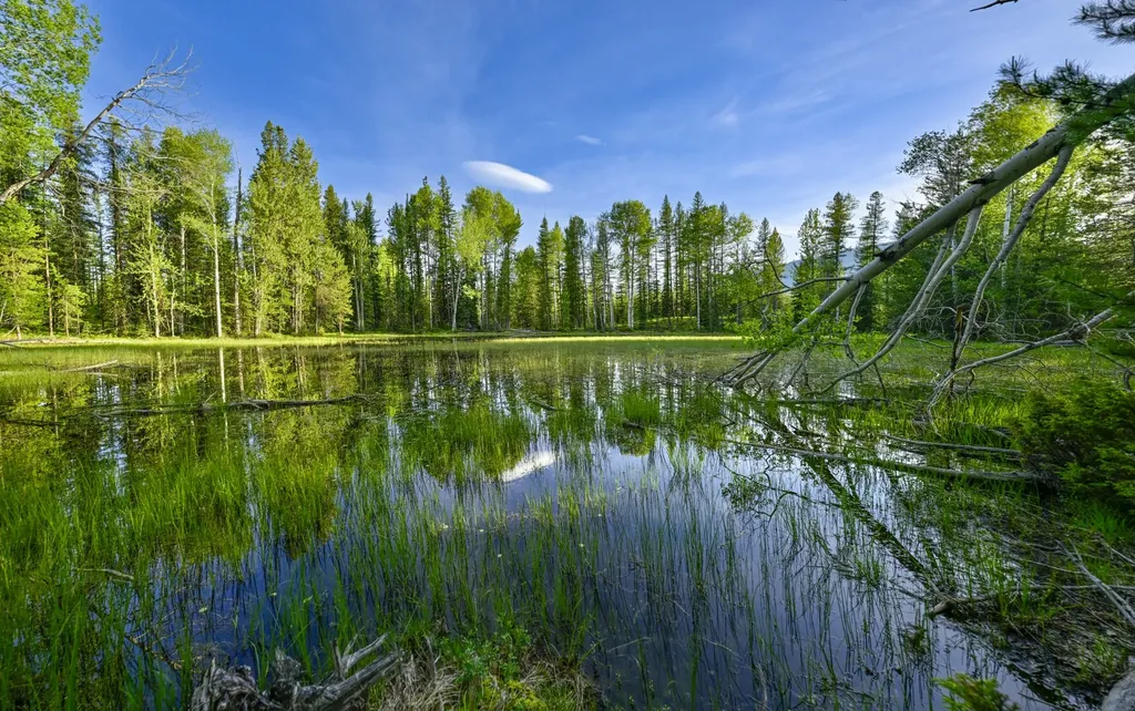 Nhn Stoner Lake Road Condon MT 59826
