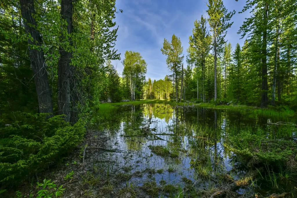 Nhn Stoner Lake Road Condon MT 59826