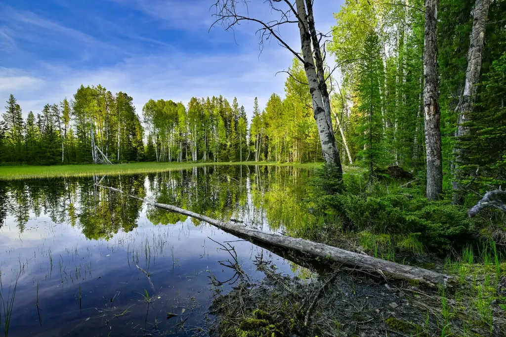 Nhn Stoner Lake Road Condon MT 59826