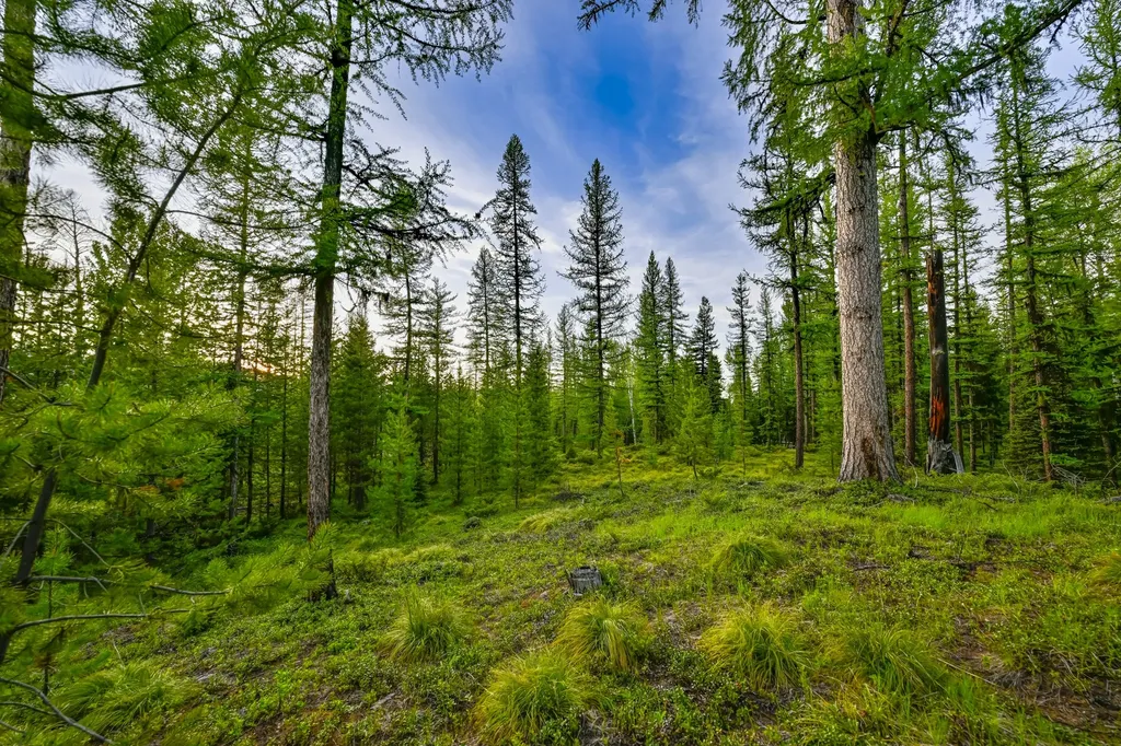 Nhn Stoner Lake Road Condon MT 59826