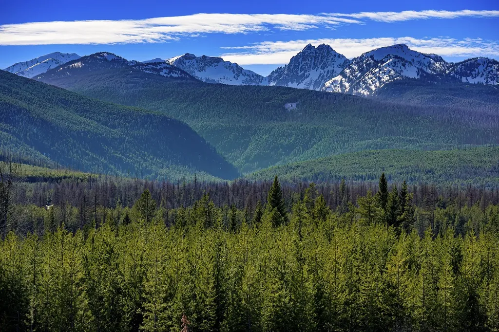 Nhn Stoner Lake Road Condon MT 59826