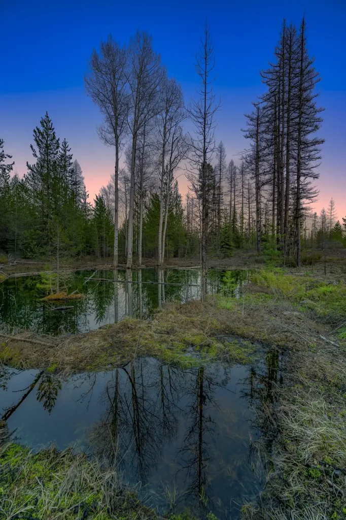Nhn Stoner Lake Road Condon MT 59826