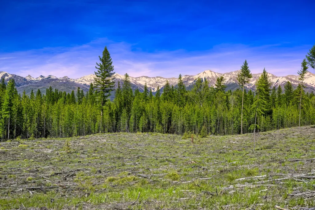 Nhn Stoner Lake Road Condon MT 59826