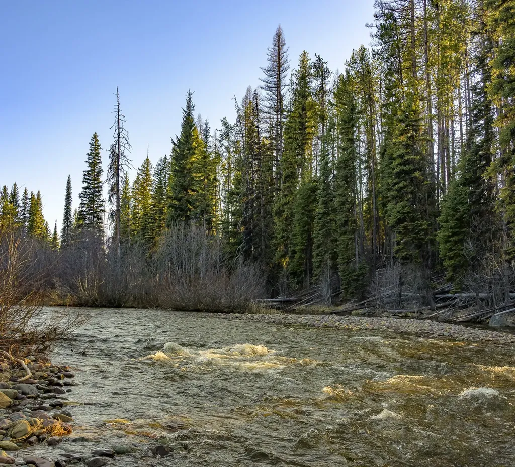 Nhn Stoner Lake Road Condon MT 59826
