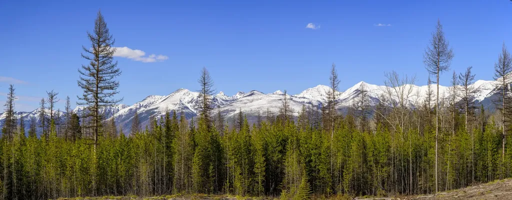 Nhn Stoner Lake Road Condon MT 59826