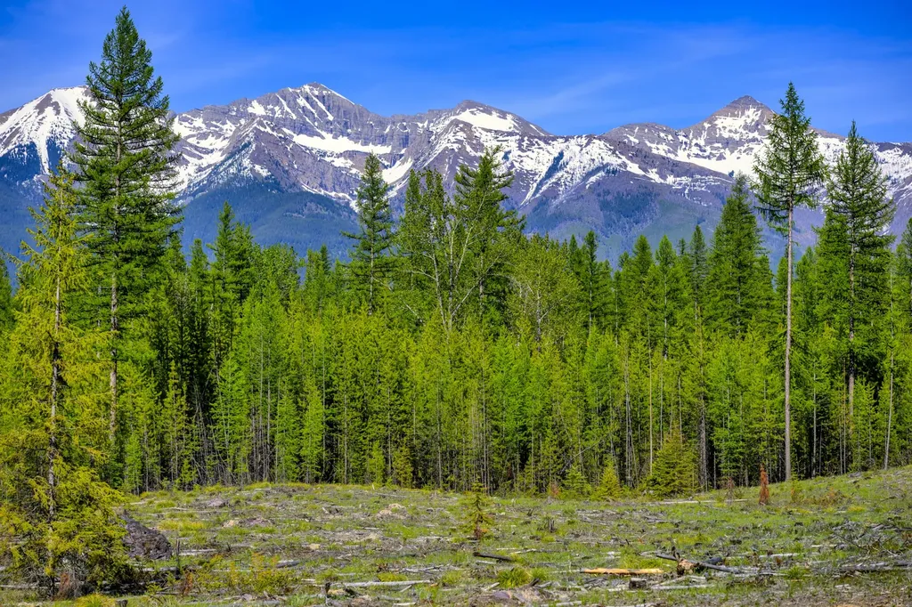 Nhn Stoner Lake Road Condon MT 59826