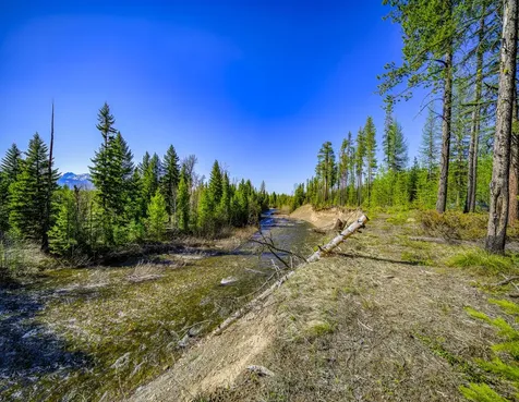 NHN Stoner Lake Road Condon MT 59826
