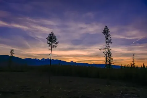 NHN Stoner Lake Road Condon MT 59826