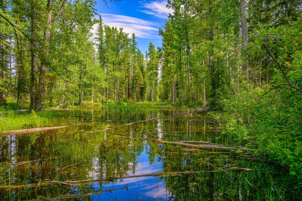 1355 Lindbergh Lake Road Condon MT 59826