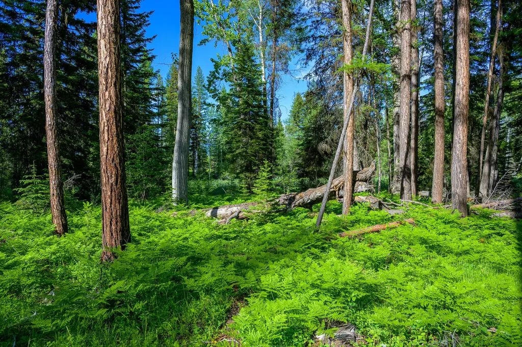 1355 Lindbergh Lake Road Condon MT 59826