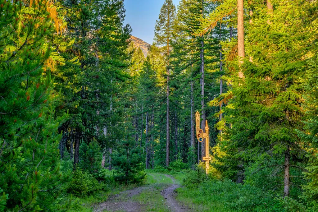 1355 Lindbergh Lake Road Condon MT 59826