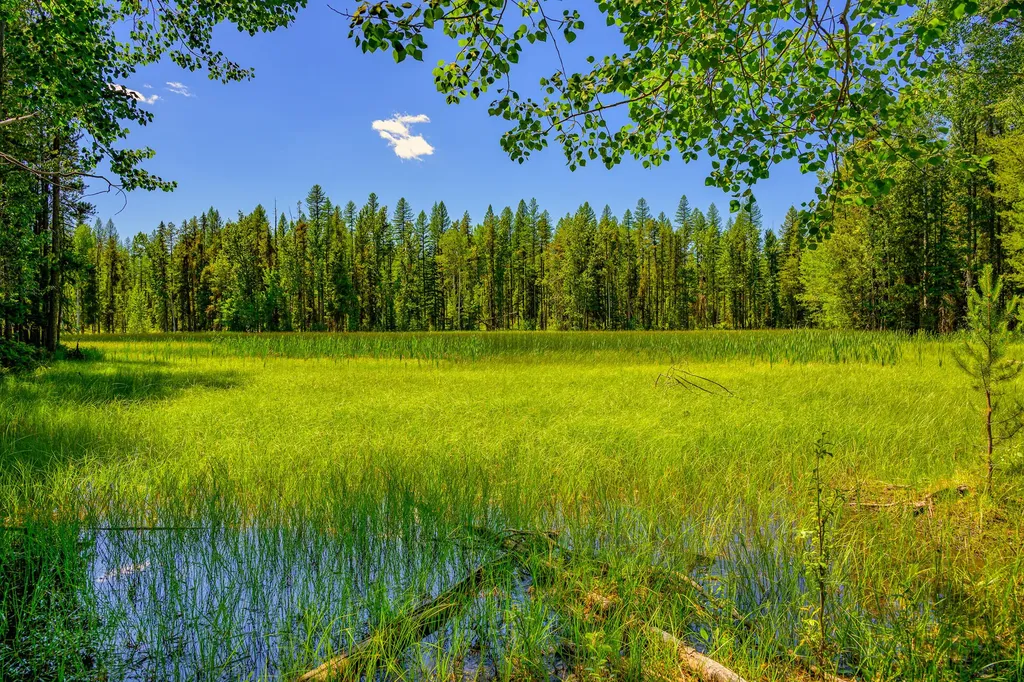 1355 Lindbergh Lake Road Condon MT 59826