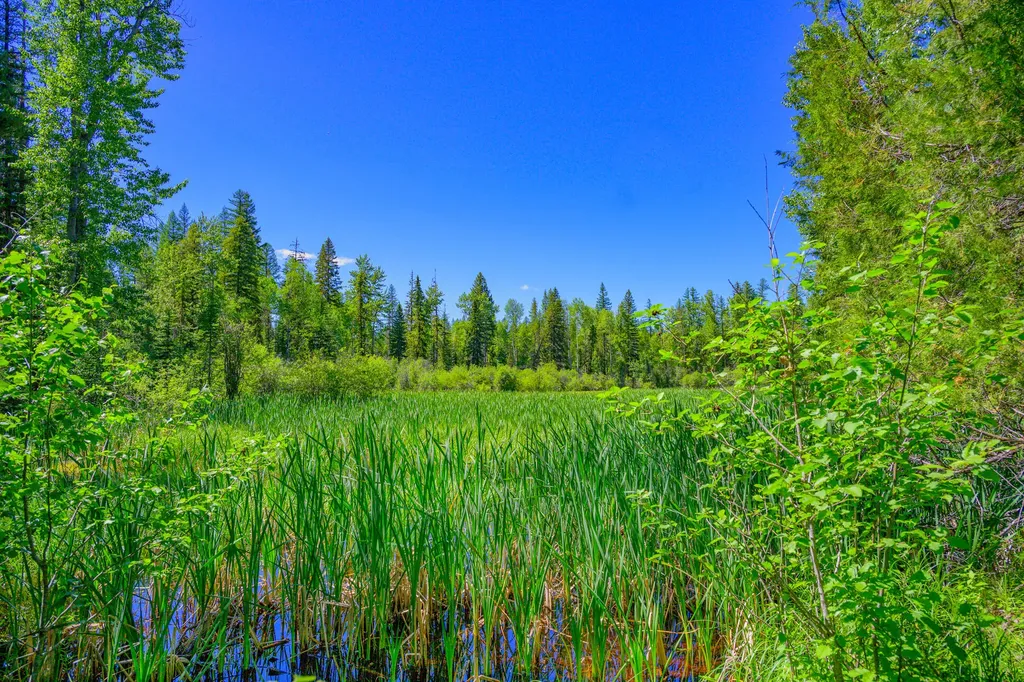 1355 Lindbergh Lake Road Condon MT 59826