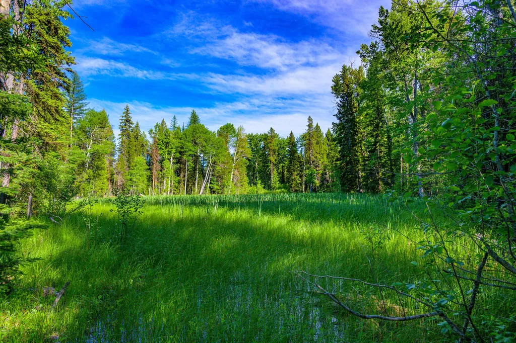1355 Lindbergh Lake Road Condon MT 59826