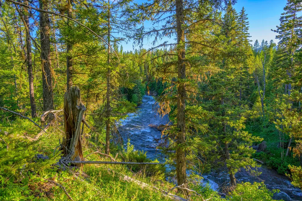 1355 Lindbergh Lake Road Condon MT 59826