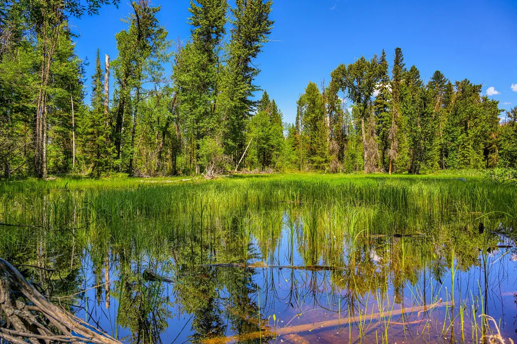 1355 Lindbergh Lake Road Condon MT 59826