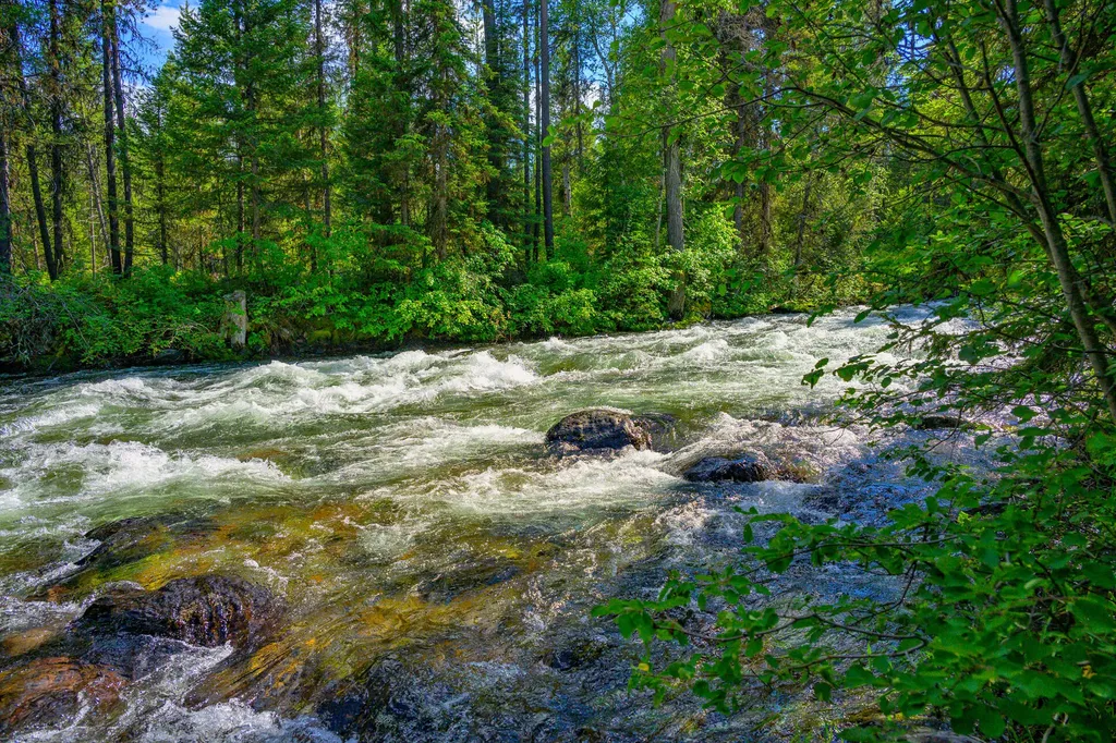 1355 Lindbergh Lake Road Condon MT 59826