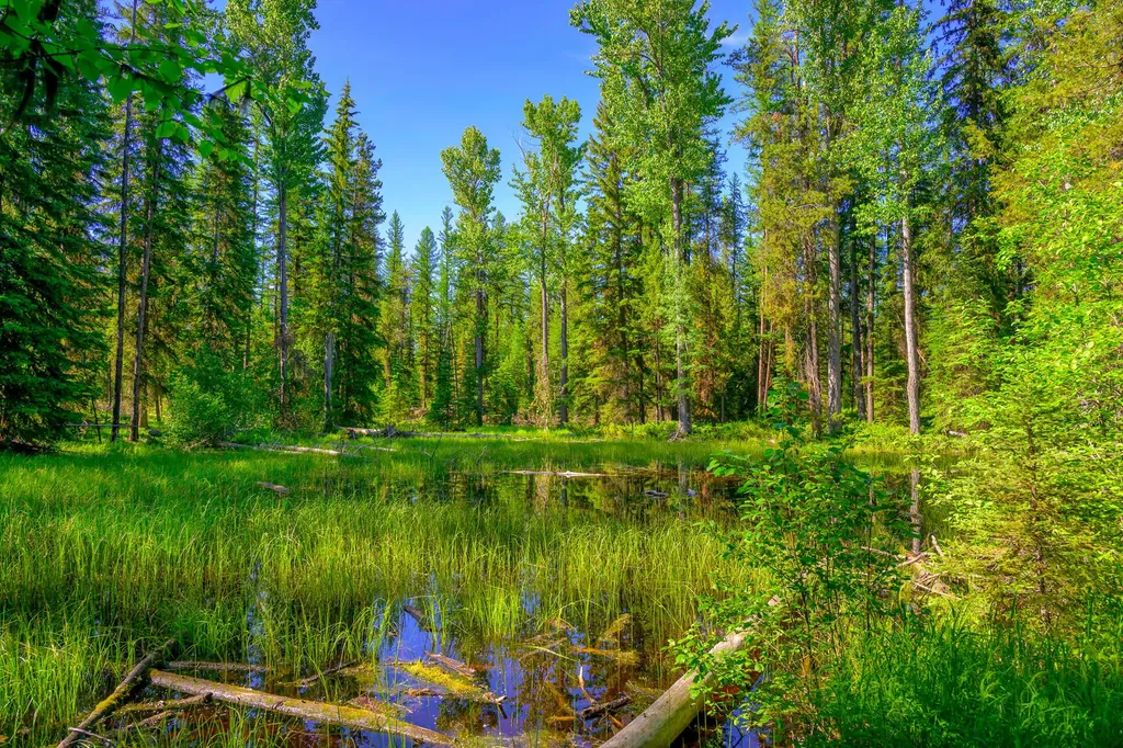 1355 Lindbergh Lake Road Condon MT 59826