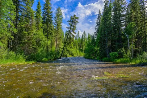 1355 Lindbergh Lake Road Condon MT 59826