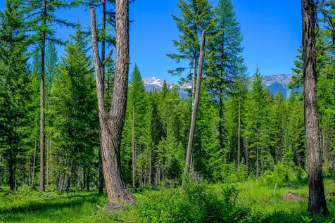1355 Lindbergh Lake Road Condon MT 59826