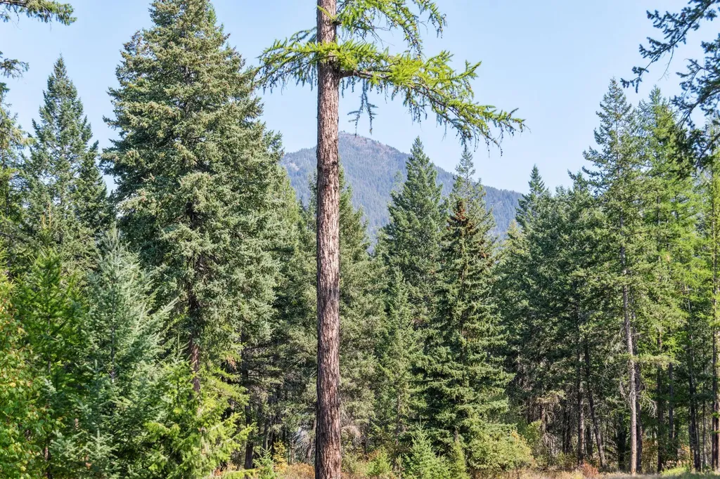 43 Ridgeway Court Columbia Falls MT 59912