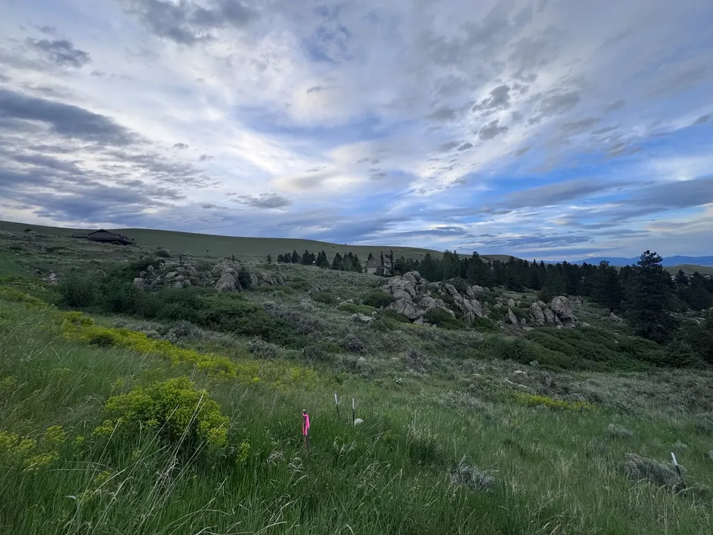 4993 Smallwood Court Helena MT 59601