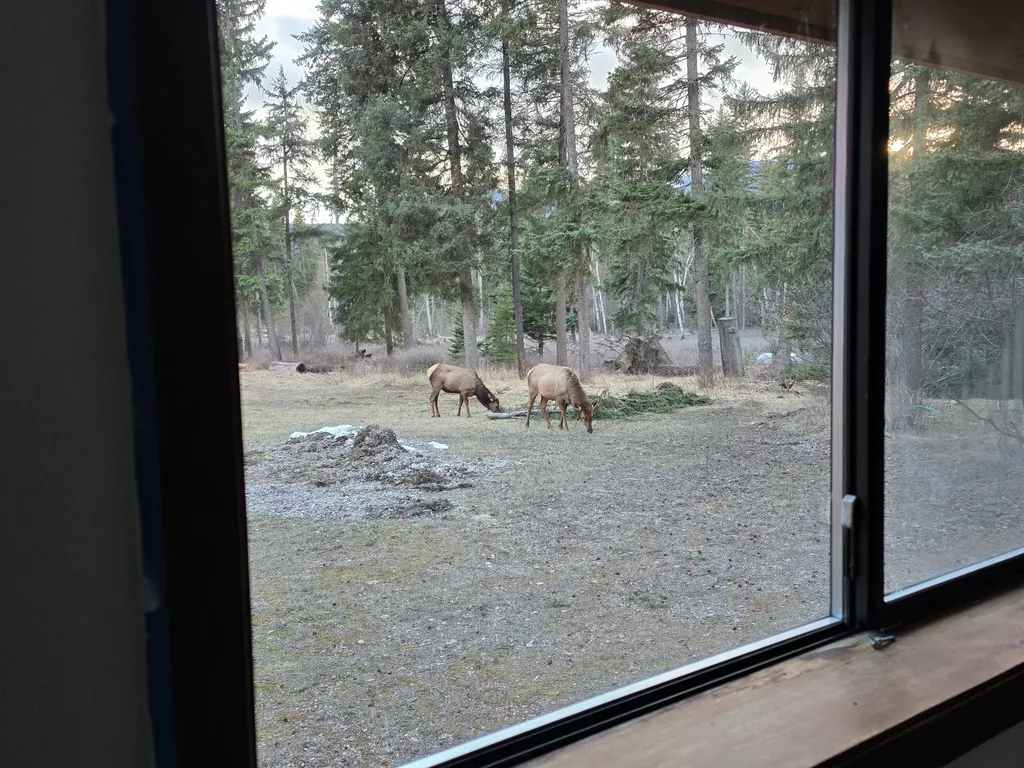 39771 Mount Highway 83 Bigfork MT 59911