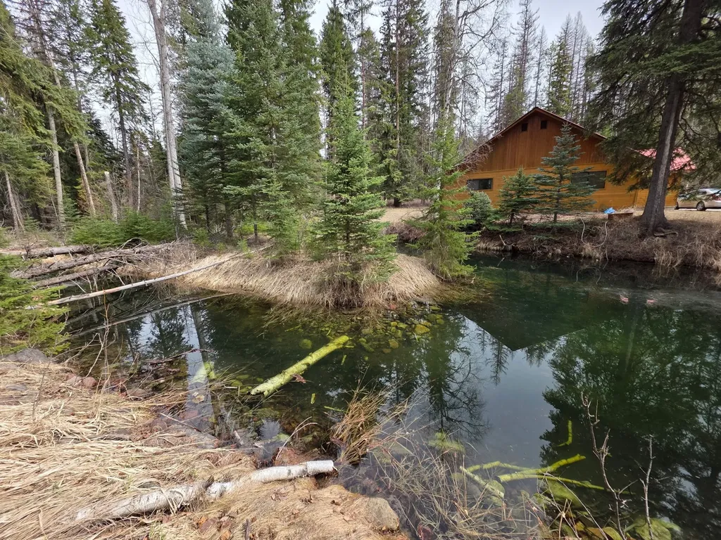 39771 Mount Highway 83 Bigfork MT 59911