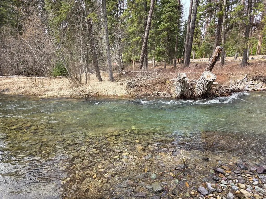 39771 Mount Highway 83 Bigfork MT 59911
