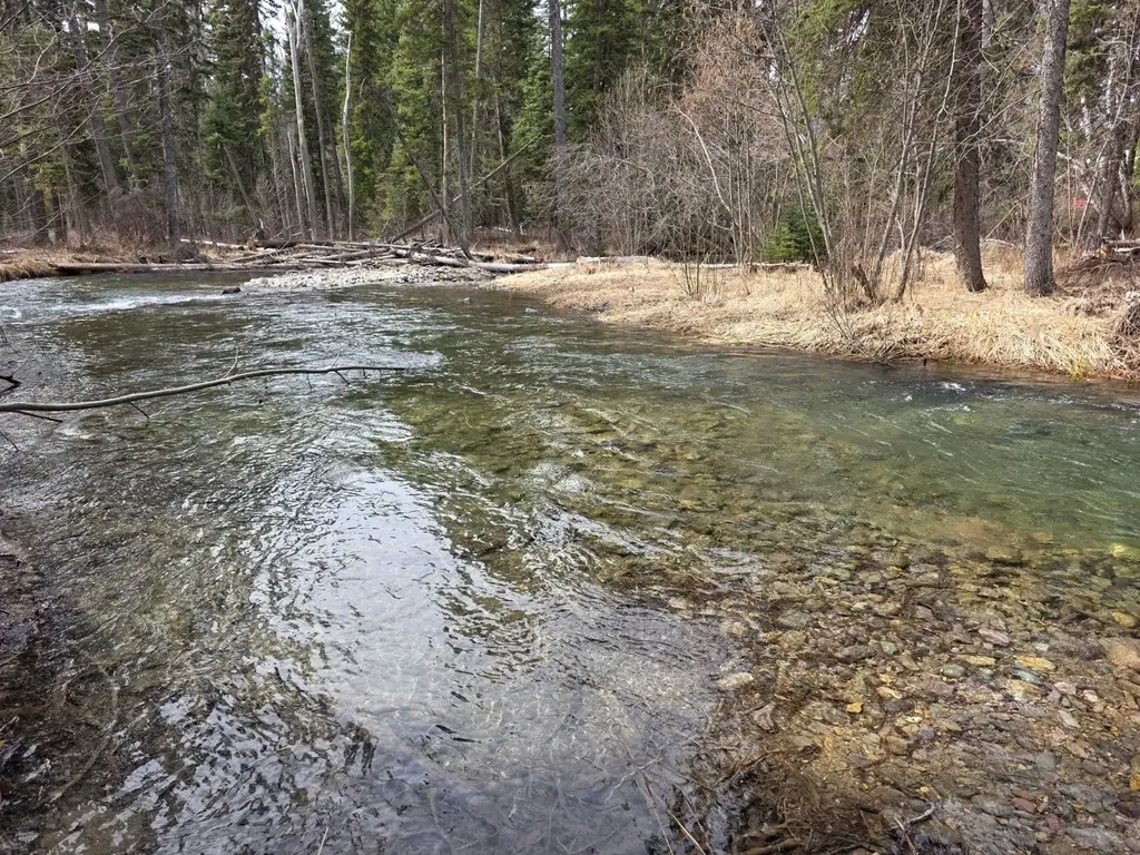 39771 Mount Highway 83 Bigfork MT 59911