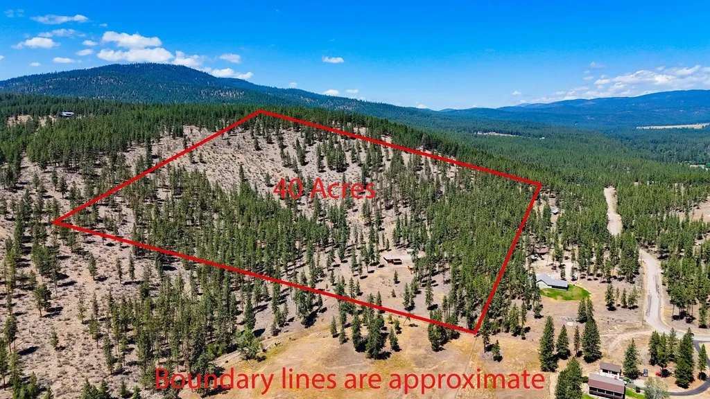 9 Cross Lane Plains MT 59859