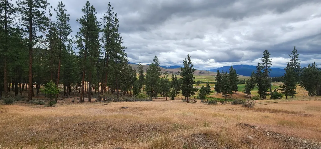 9 Cross Lane Plains MT 59859