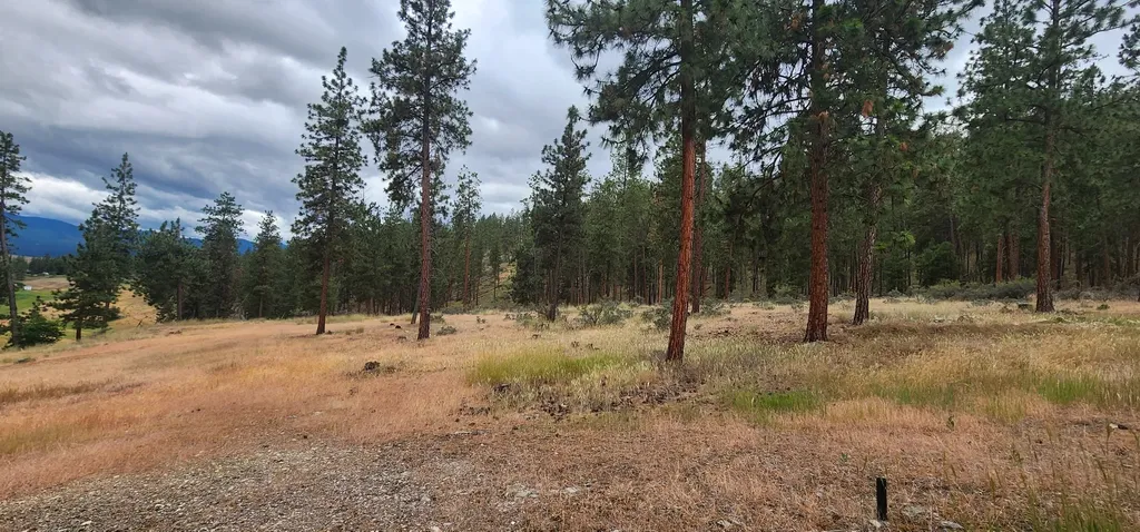 9 Cross Lane Plains MT 59859