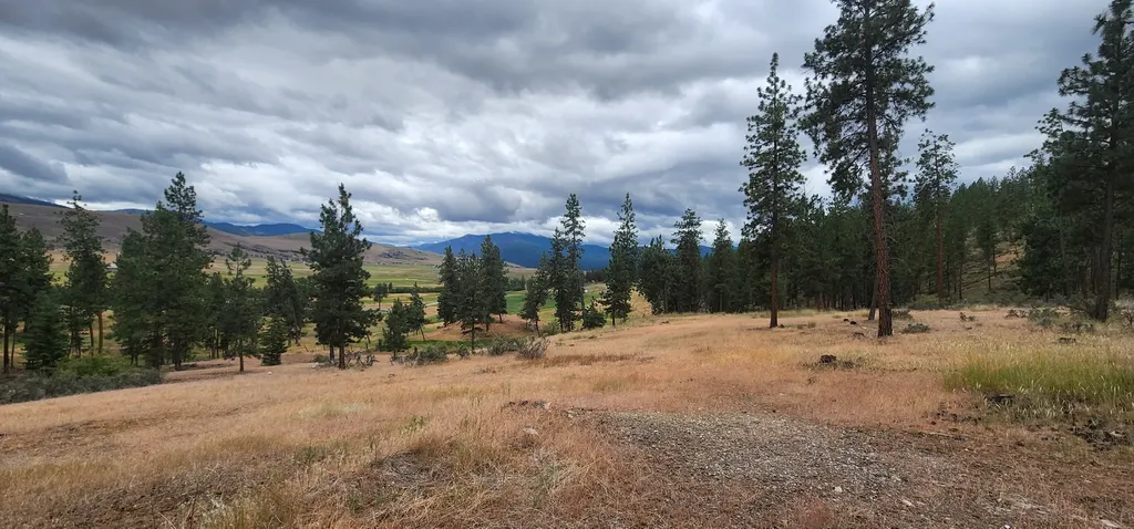 9 Cross Lane Plains MT 59859