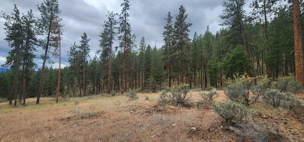 9 Cross Lane Plains MT 59859