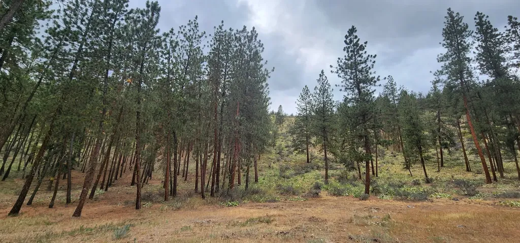 9 Cross Lane Plains MT 59859