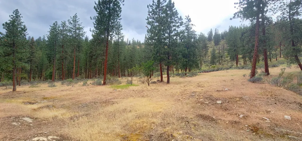 9 Cross Lane Plains MT 59859