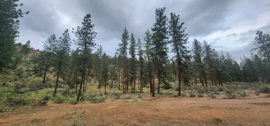9 Cross Lane Plains MT 59859