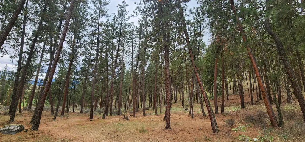 9 Cross Lane Plains MT 59859