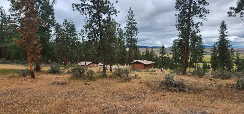 9 Cross Lane Plains MT 59859