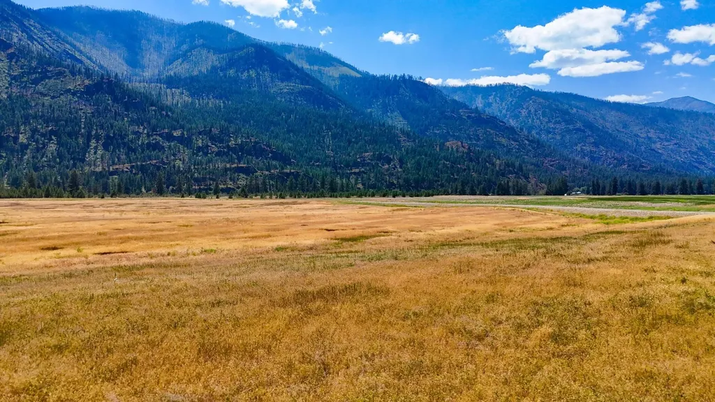 Lot 2 Harbine Ranch Road Plains MT 59859