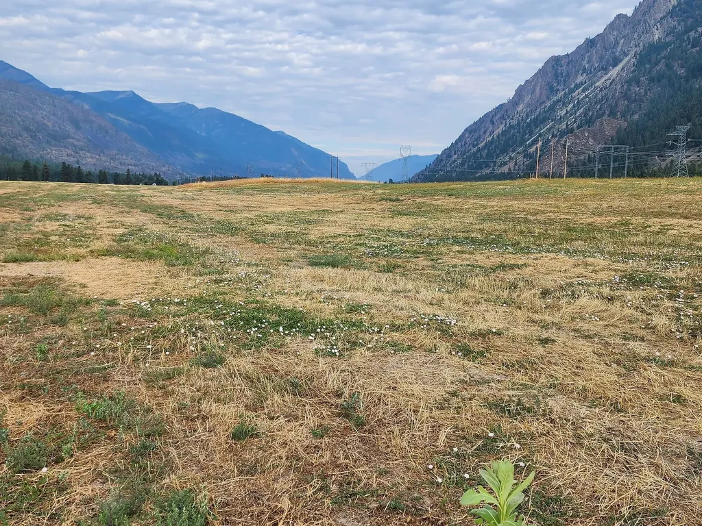 Lot 2 Harbine Ranch Road Plains MT 59859