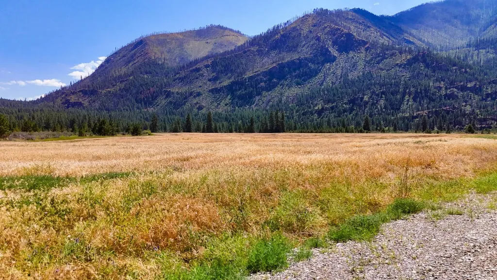 Lot 2 Harbine Ranch Road Plains MT 59859