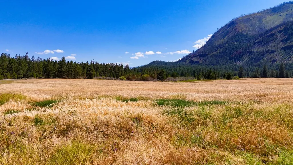 Lot 2 Harbine Ranch Road Plains MT 59859