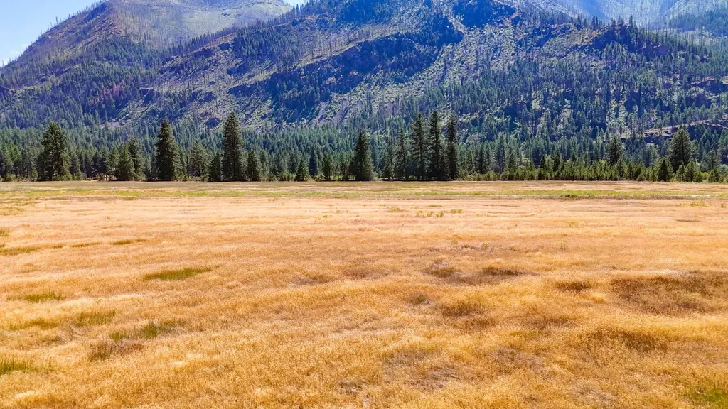 Lot 2 Harbine Ranch Road Plains MT 59859