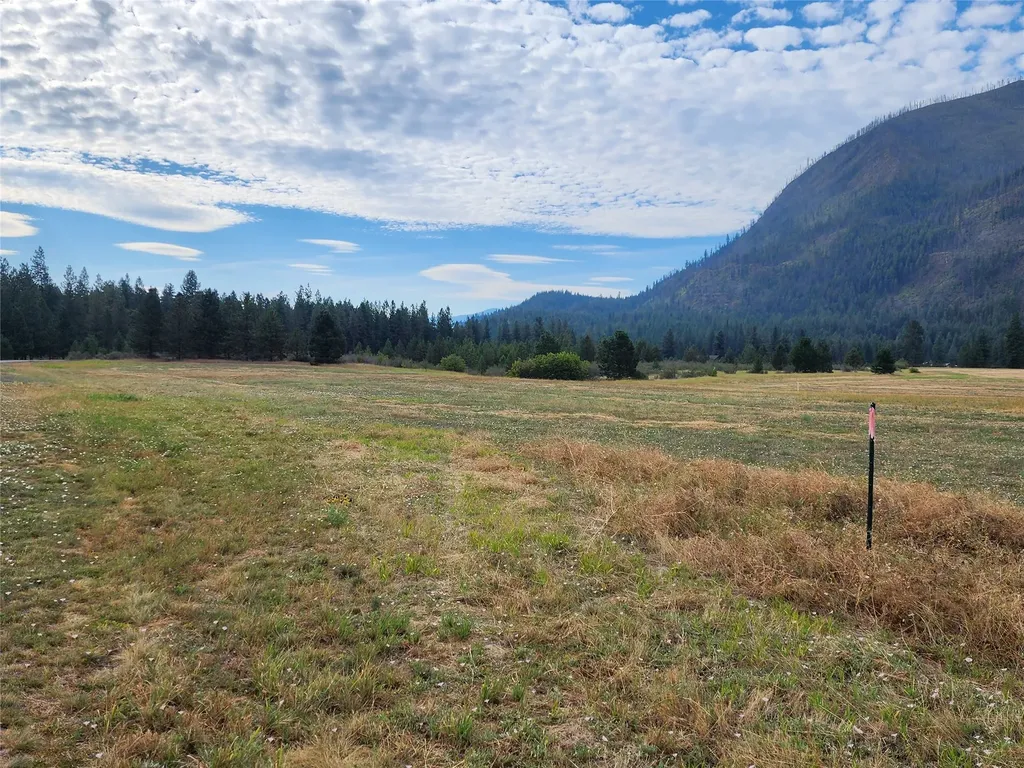 Lot 2 Harbine Ranch Road Plains MT 59859