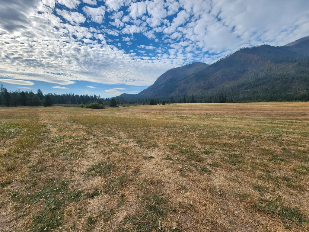 Lot 2 Harbine Ranch Road Plains MT 59859
