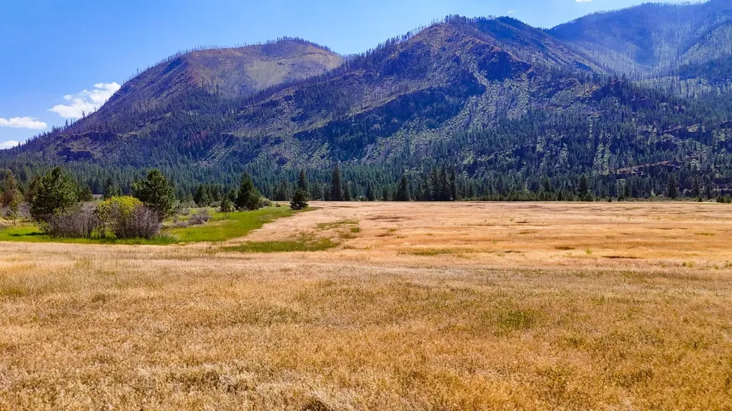 Lot 3 Harbine Ranch Road Plains MT 59859