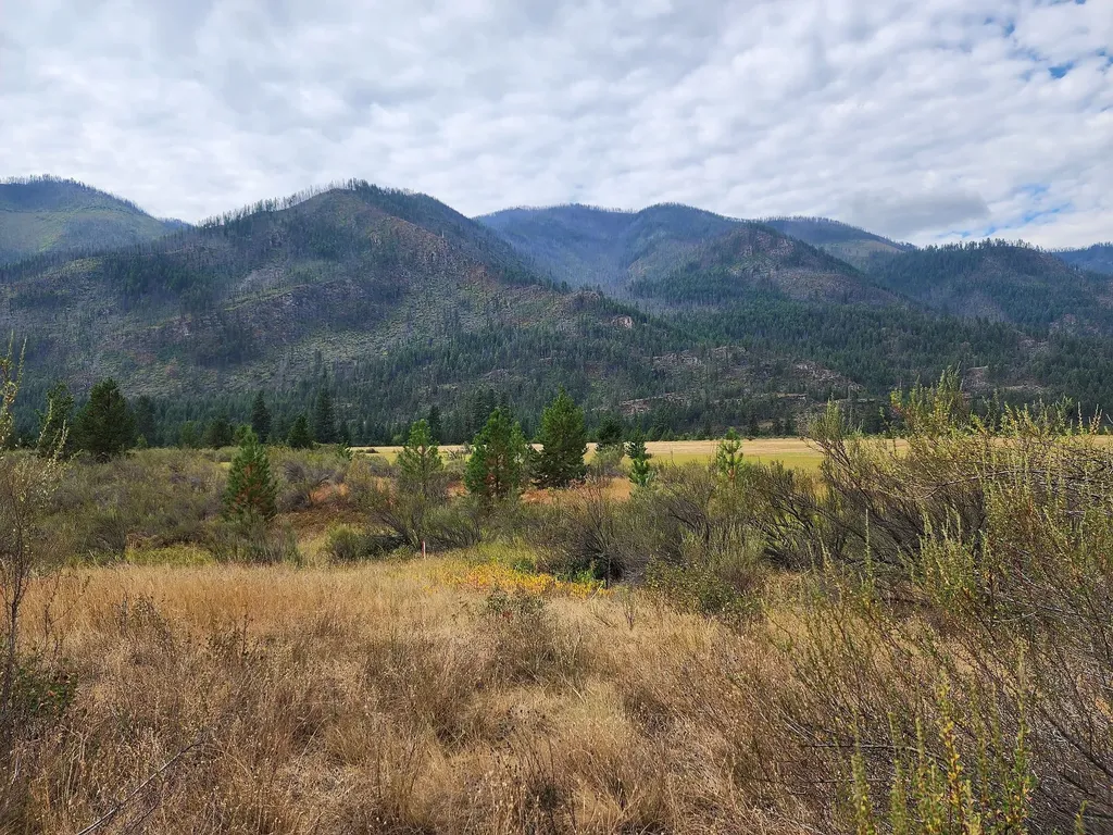 Lot 3 Harbine Ranch Road Plains MT 59859