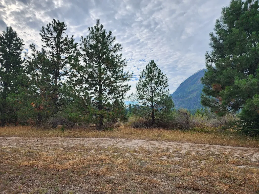 Lot 3 Harbine Ranch Road Plains MT 59859